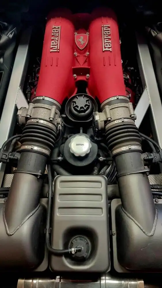 Clean engine bay after professional steam cleaning